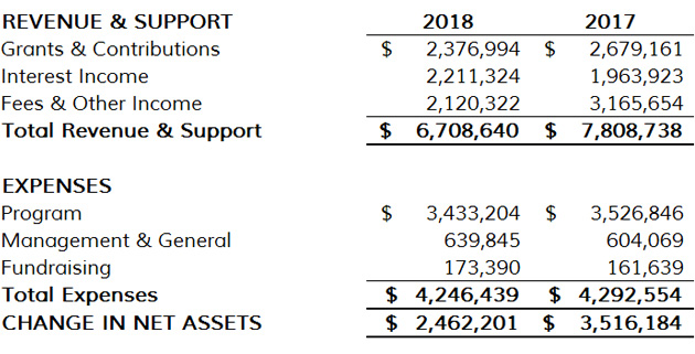 Statement Activities 2018 630w